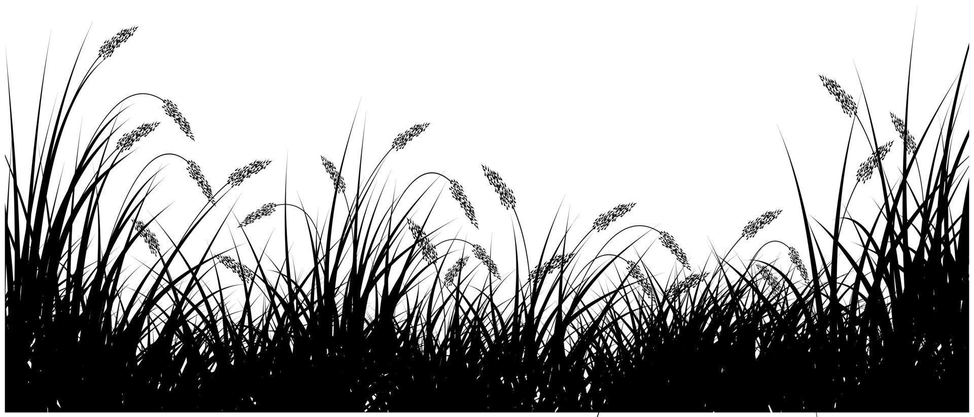 reeds flower silhouette banner vector