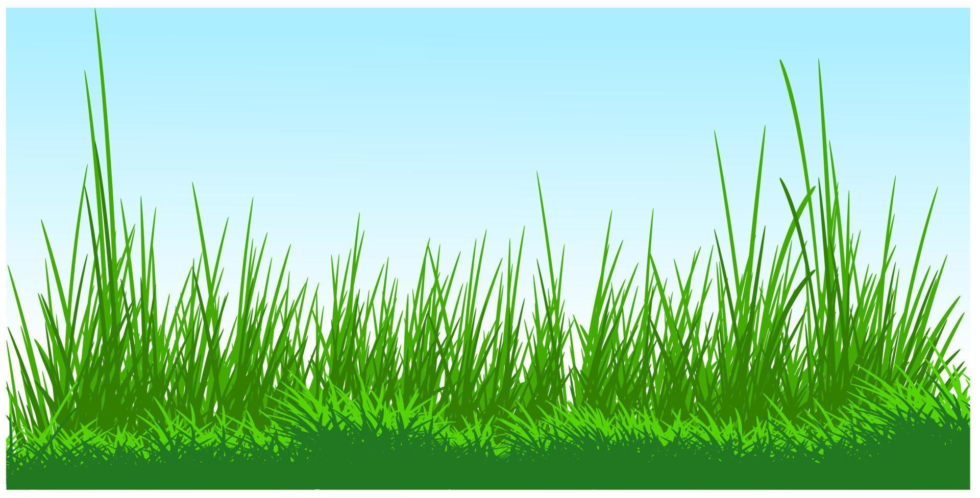 ground grass silhouette background, spring grass, meadow silhouette vector