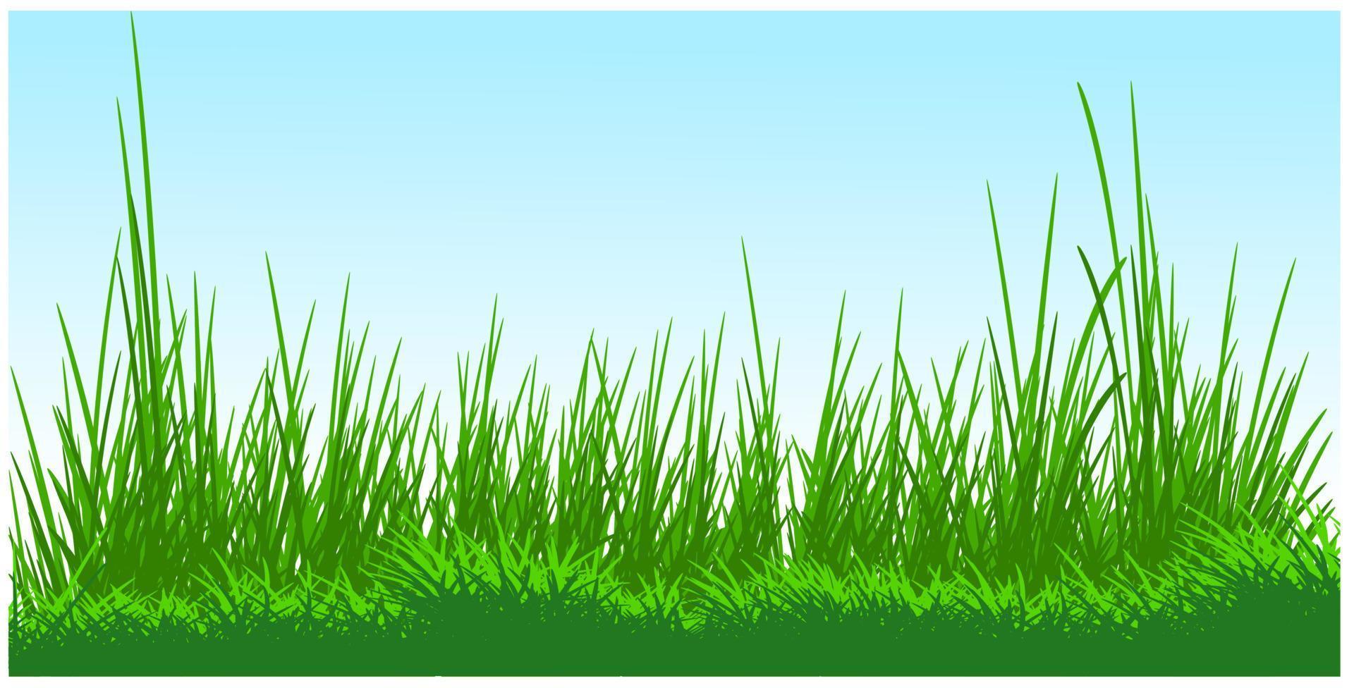 ground grass silhouette background, spring grass, meadow silhouette vector