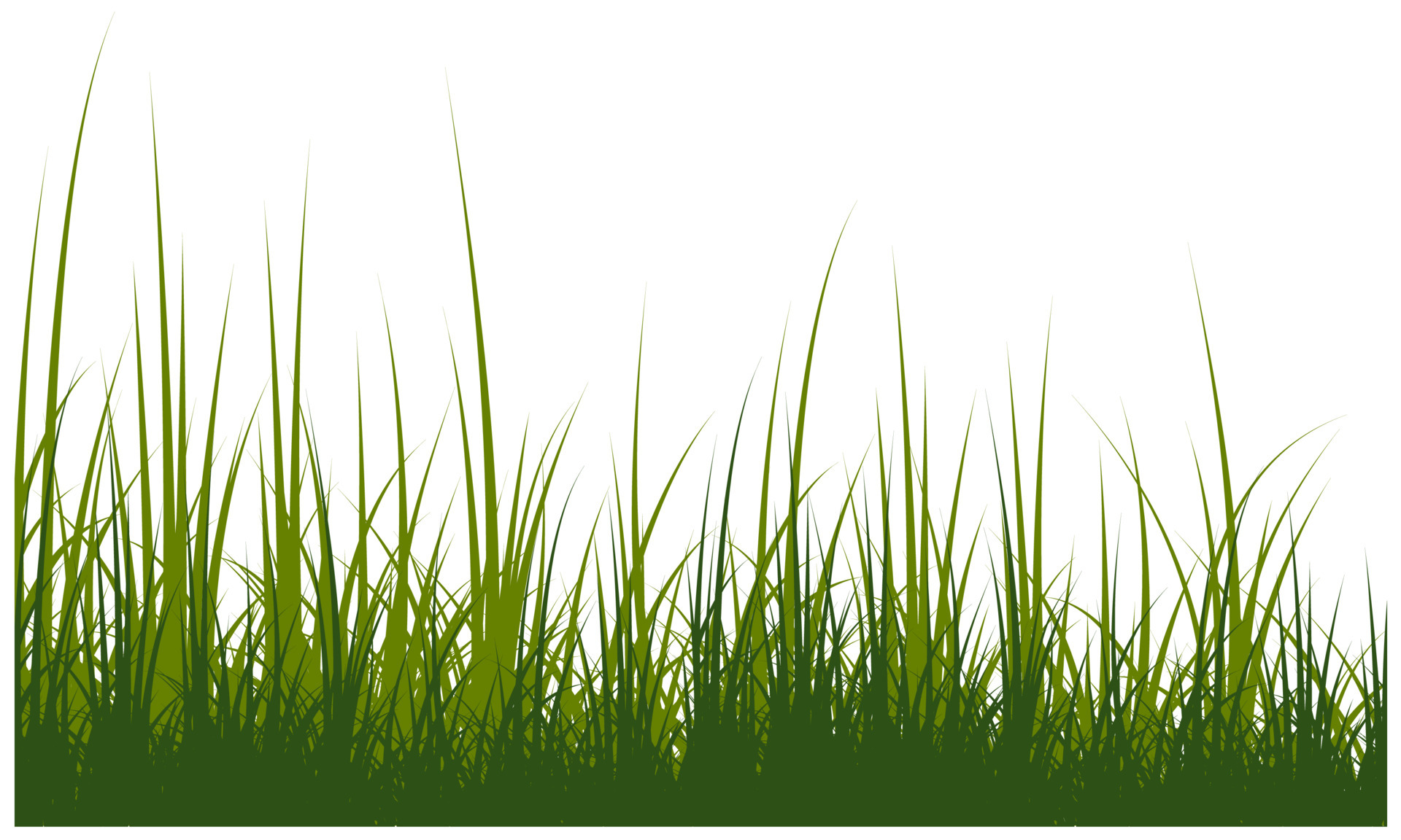 dead grass, dry grass, desert grass vector 6552326 Vector Art at Vecteezy