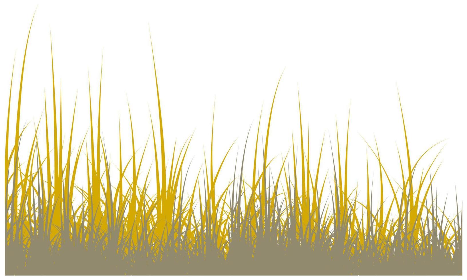 dead grass, dry grass, desert grass vector