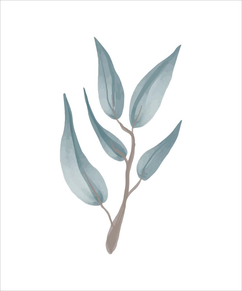 Eucalyptus branch hand drawn by watercolor. Vector illustration.