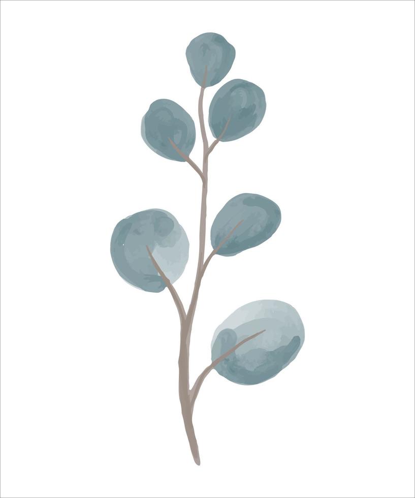 Eucalyptus branch hand drawn by watercolor. Vector illustration.