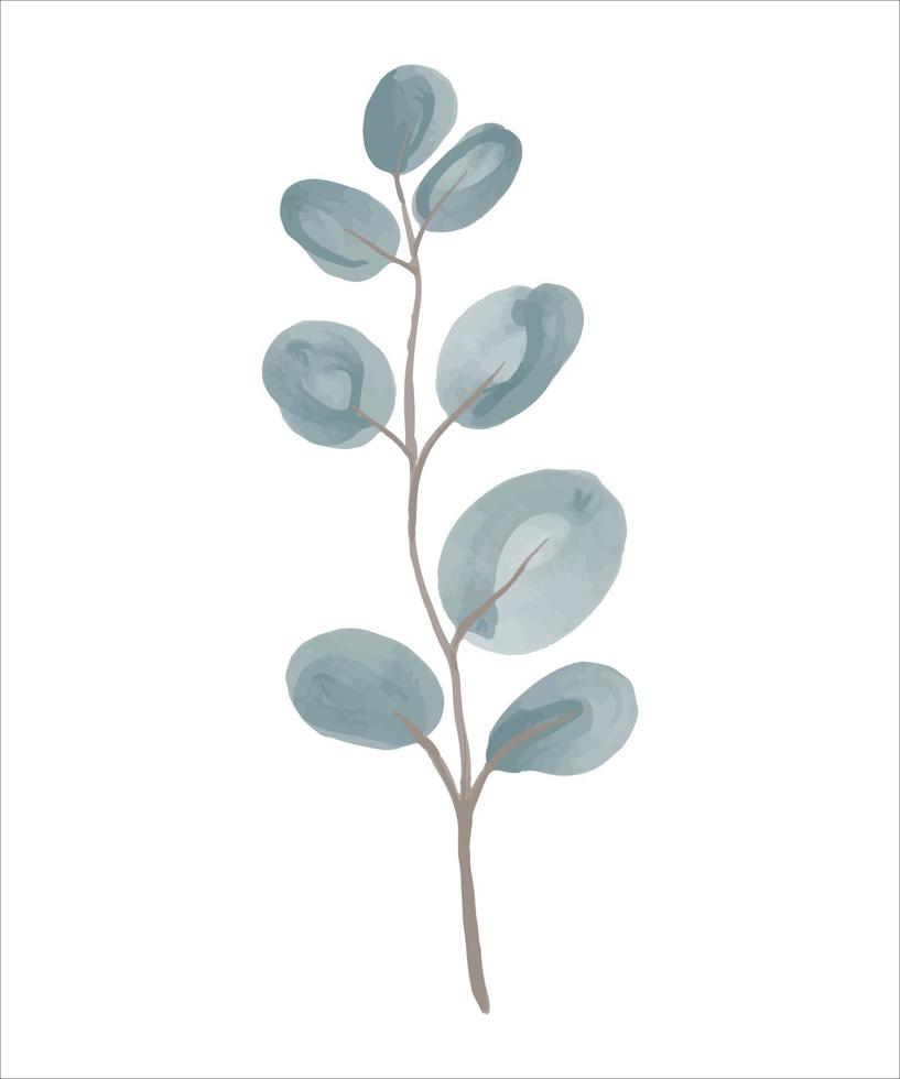 Eucalyptus branch hand drawn by watercolor. vector