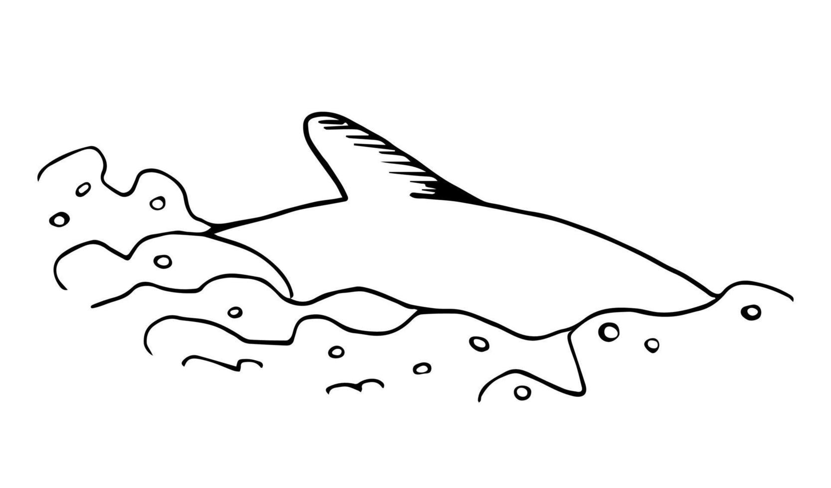 Simple vector sketch in black outline. Dolphin fin in the water, sea waves, bubbles. Fish, animals, marine life.