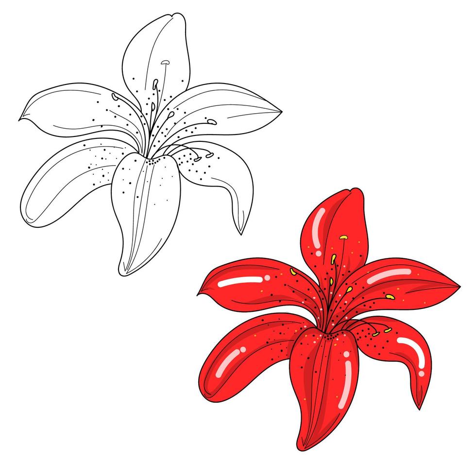 red flower with black outline drawing isolated on white background. vector