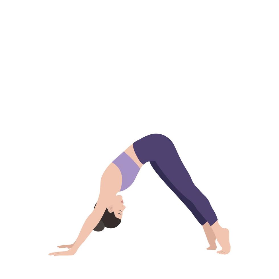 una chica en una de las poses de yoga, aislada en un fondo blanco, vector plano, asana de perro