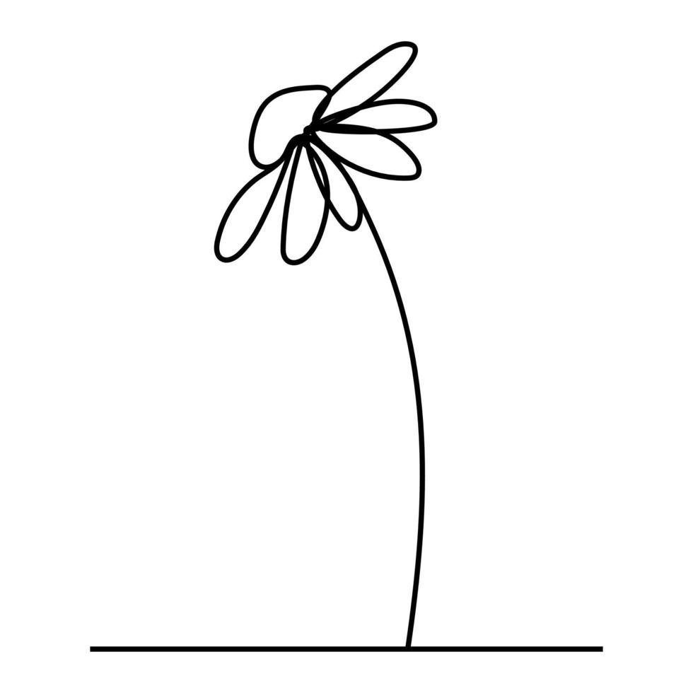 Beautiful flowers Echinacea. Continuous line drawing. Vector illustration