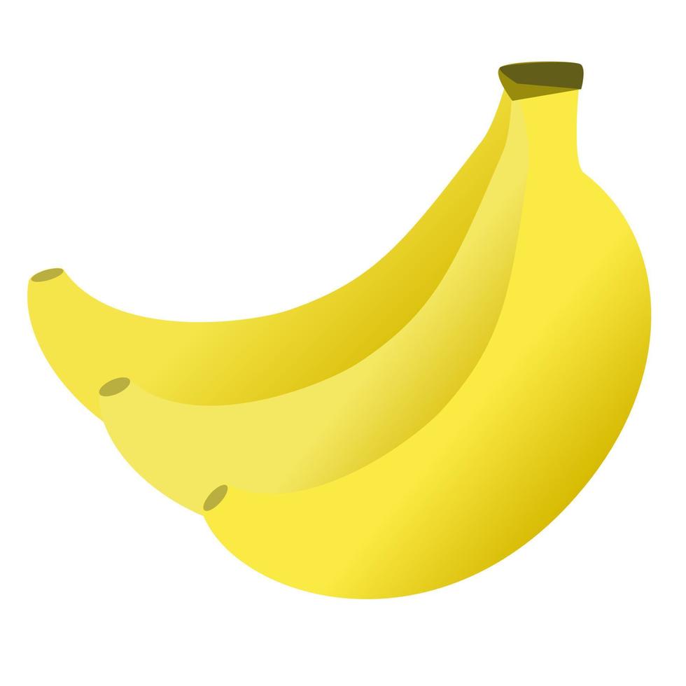 Bunch of banana. vector