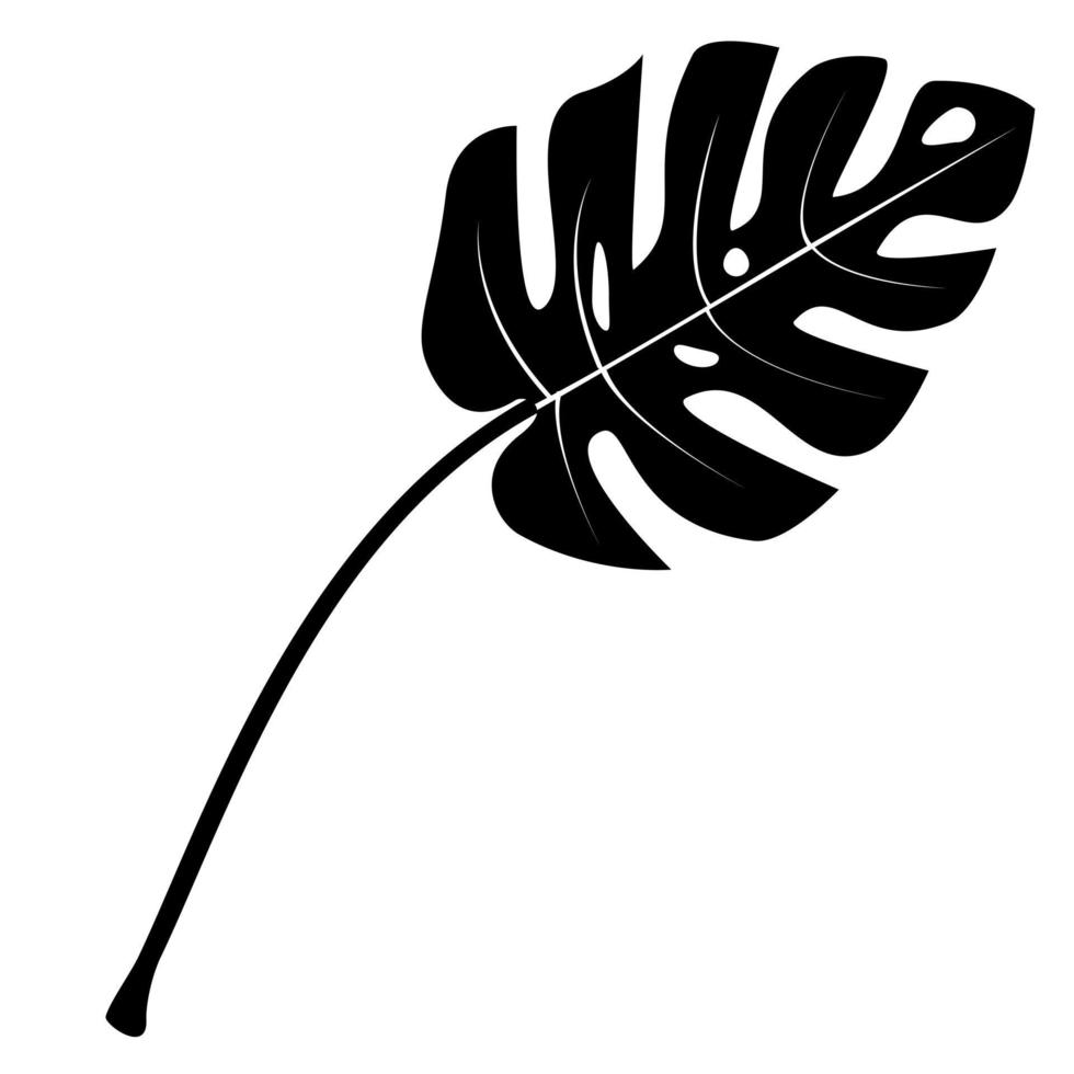 Monstera leaf silhouette isolated. vector