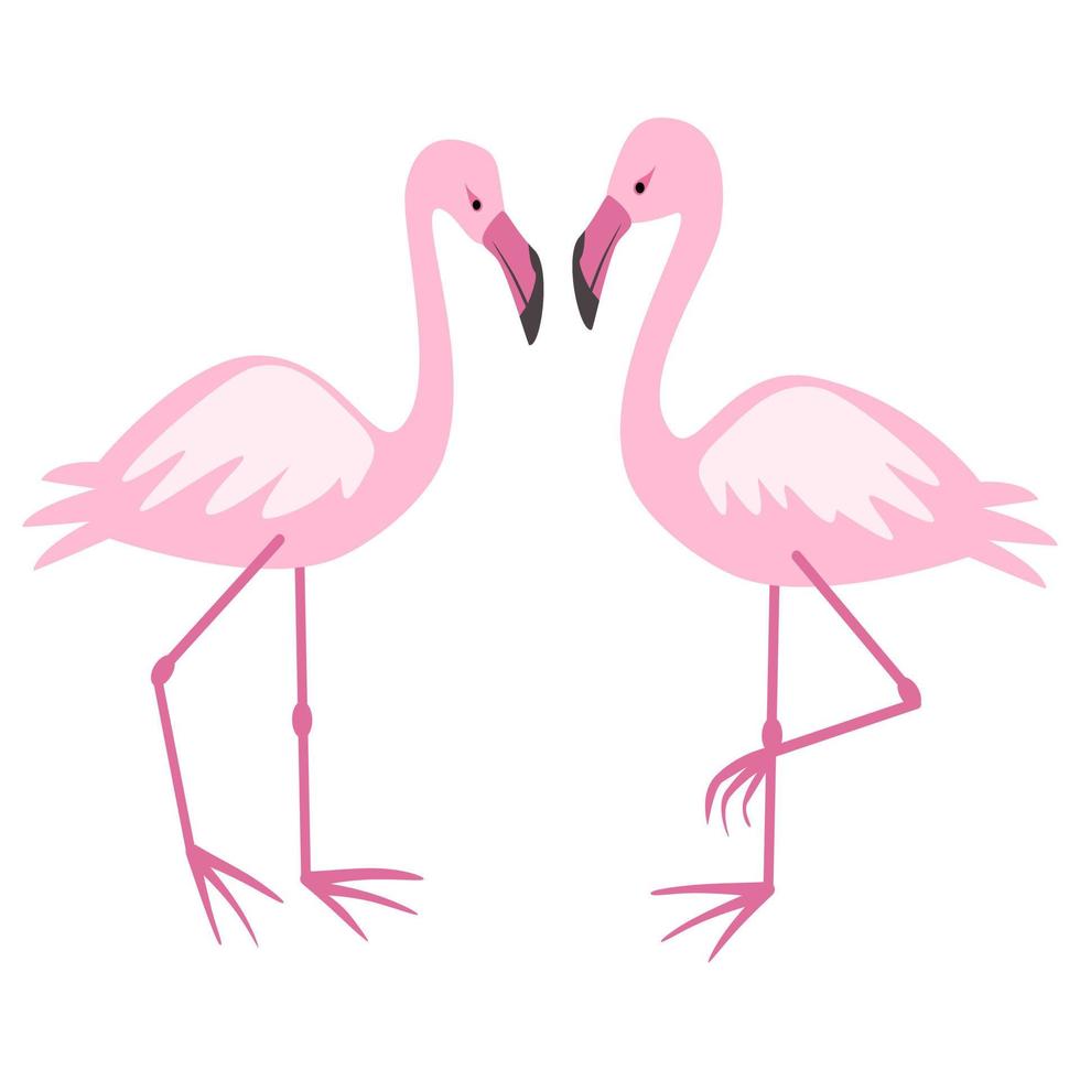 Two lovely flamingo . vector