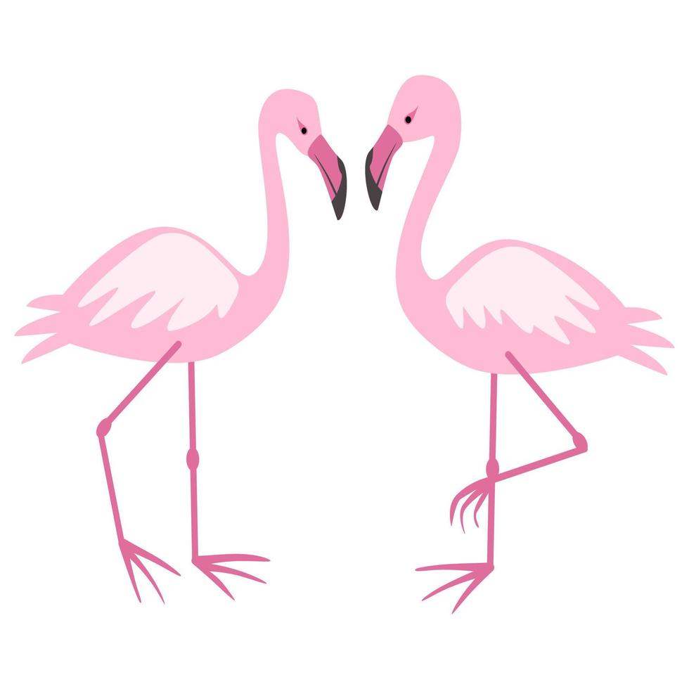 Two lovely flamingo . vector