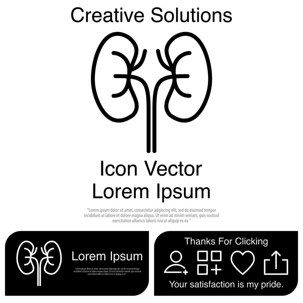Kidney Icon Vector EPS 10