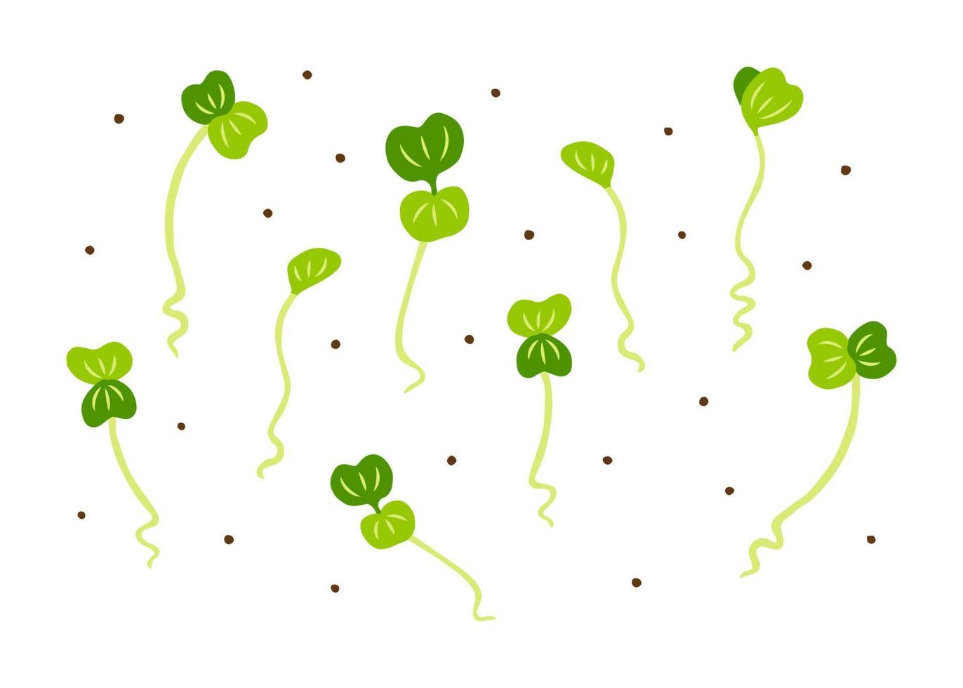 microvegetales de rábano dibujados a mano vector