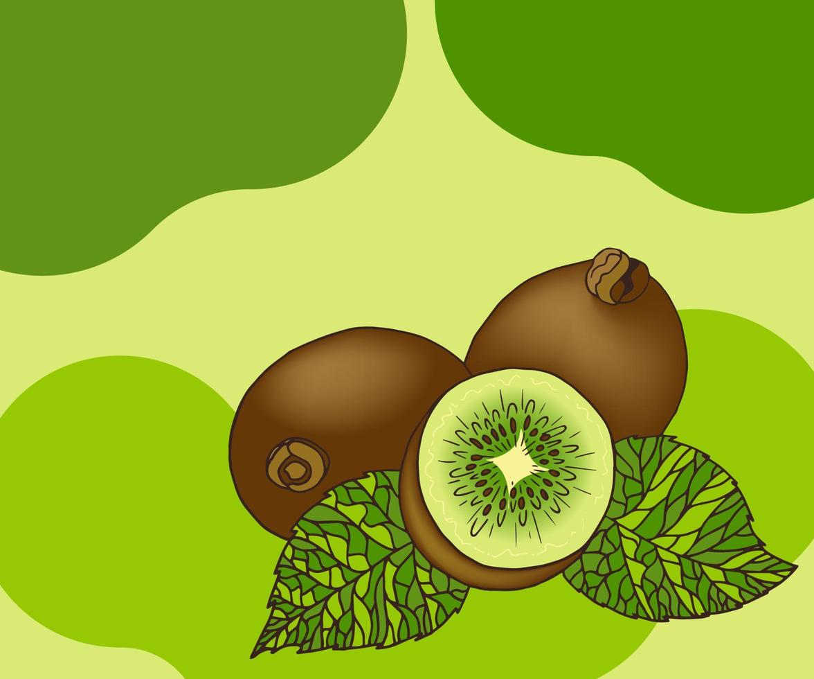 Kiwi hand drawn collection by sketch doole vector