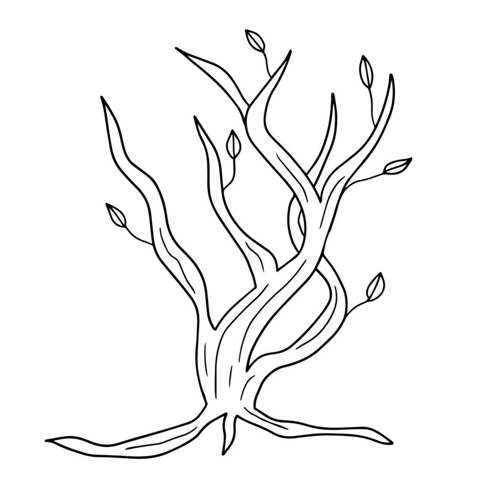 árbol de invierno calvo de dibujos animados en estilo plano aislado sobre fondo blanco. planta de primavera vector