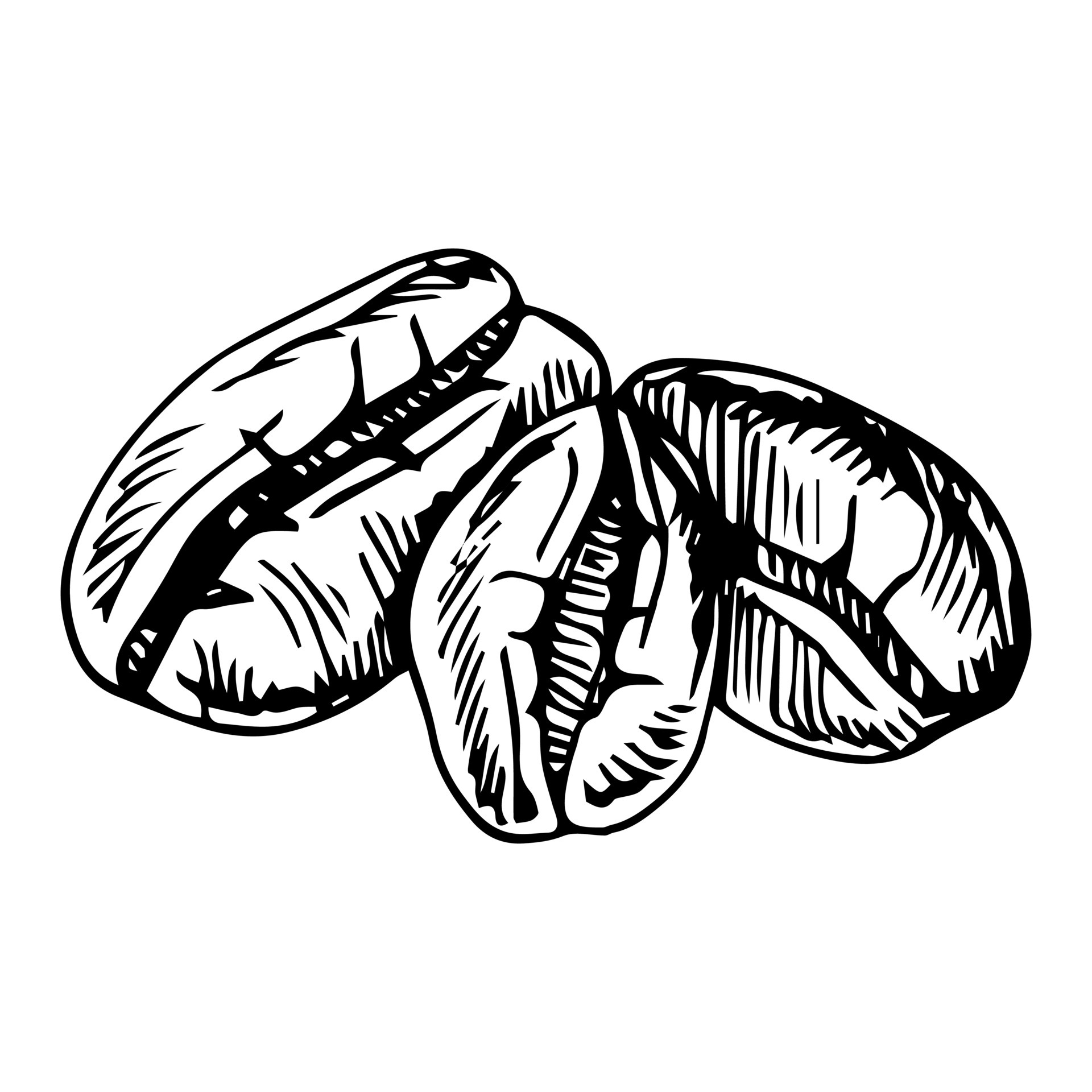 painted coffee beans, sketch, vector drawing, perfect ingredient, grain