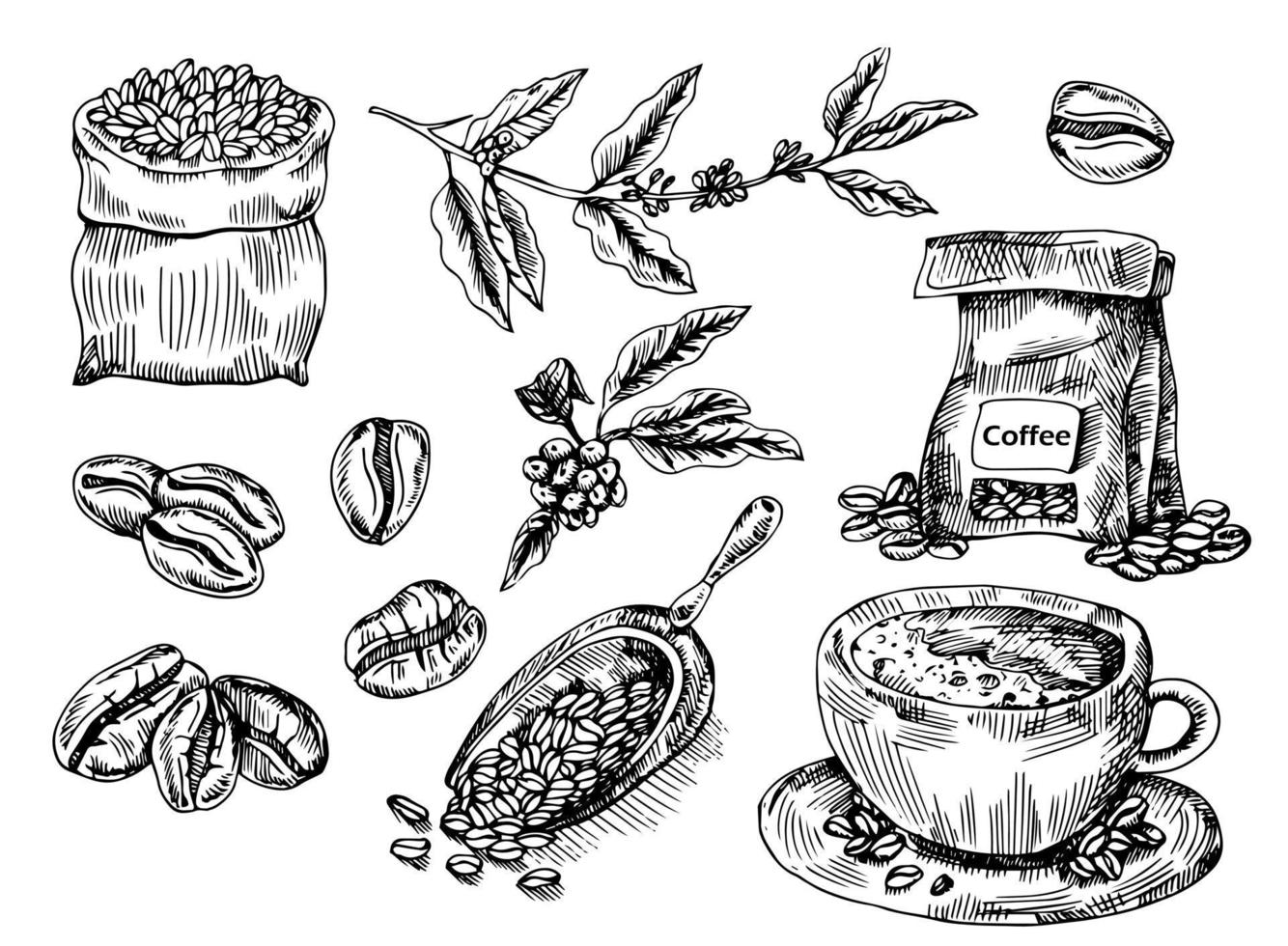 Coffee set with coffee branch, coffee beans, bad of coffee, scoop of coffee. Hand drawn vector illustration in sketch style. Ink drawn.