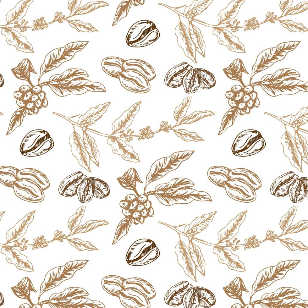 Coffee beans and branches on a white background. Seamless background for textile prints, gift wrapping or wallpapers. vector