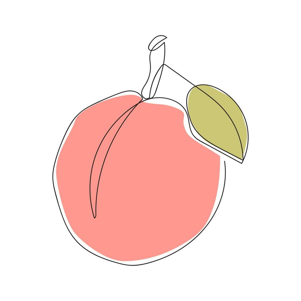 Continuous single line drawing of peach fruit. Minimalistic colorful sketch for logo, posters, wall art. Vector illustration isolated on white background