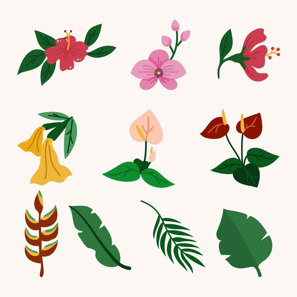 Collection of tropical flower vector illustration