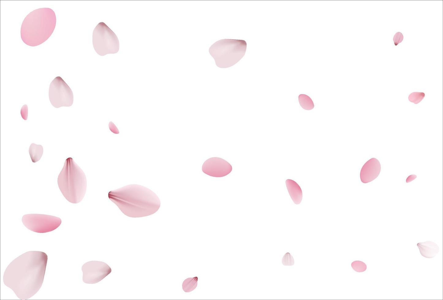 Pink sakura vector background, cherry flowers
