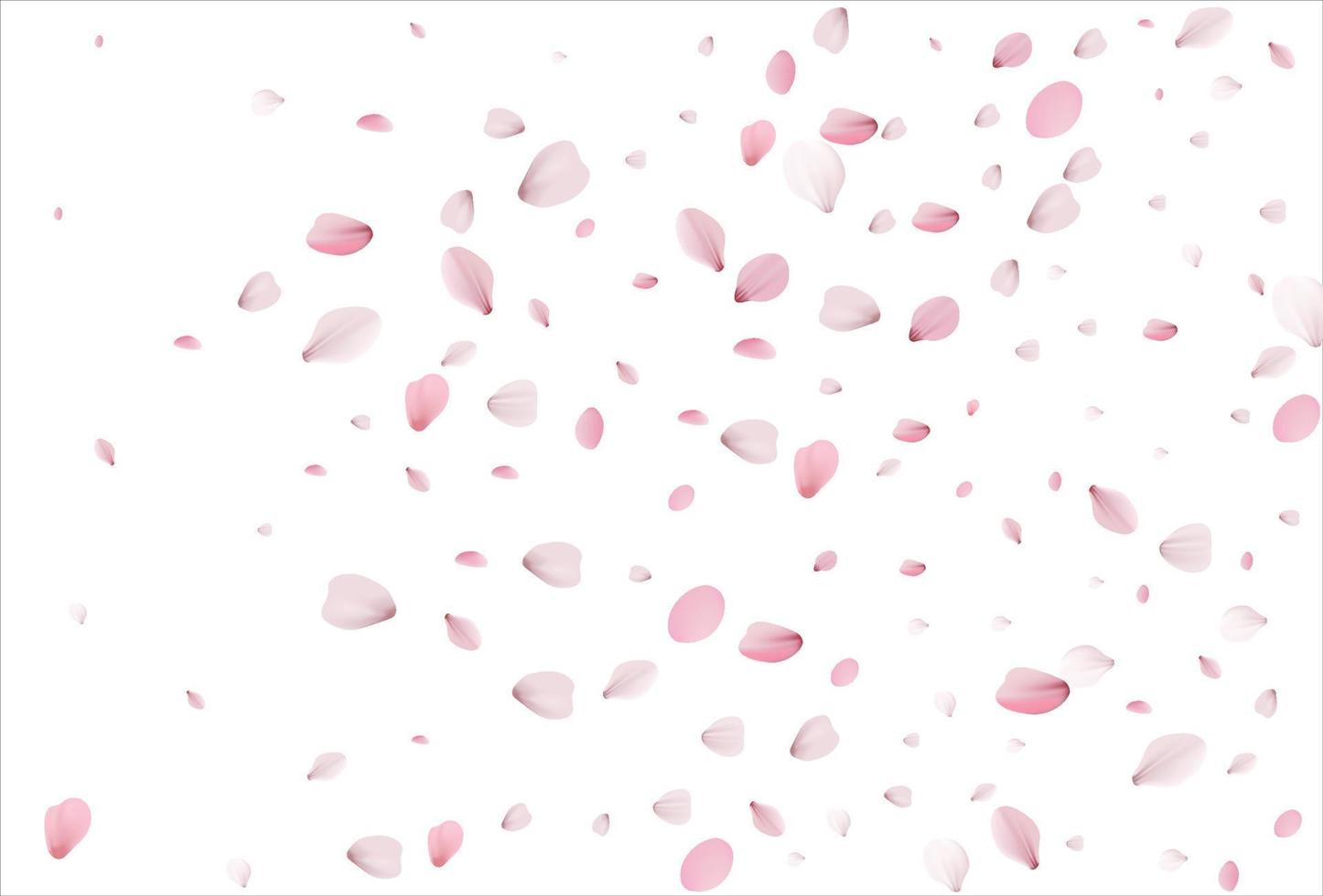 Cherry petals backdrop. Sakura petals background. vector