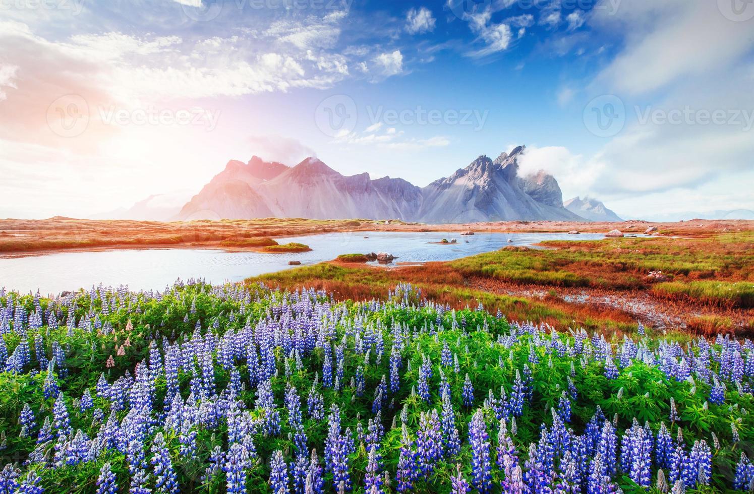 los pintorescos paisajes bosques y montañas de islandia. foto