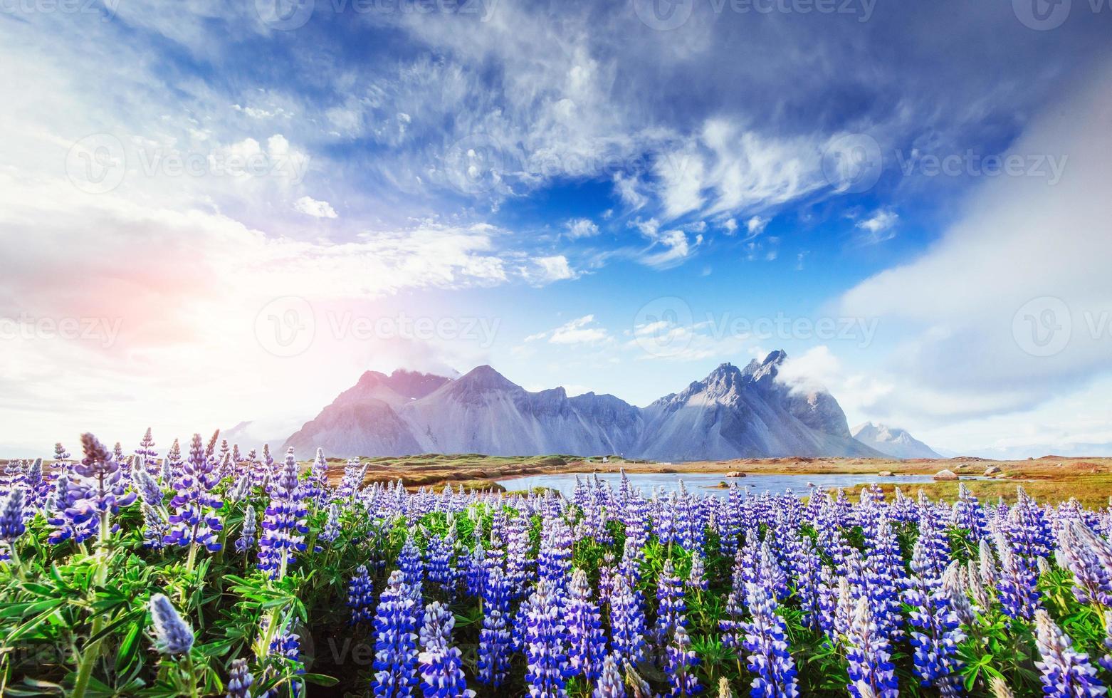 Picturesque views of the river and mountains in Iceland photo