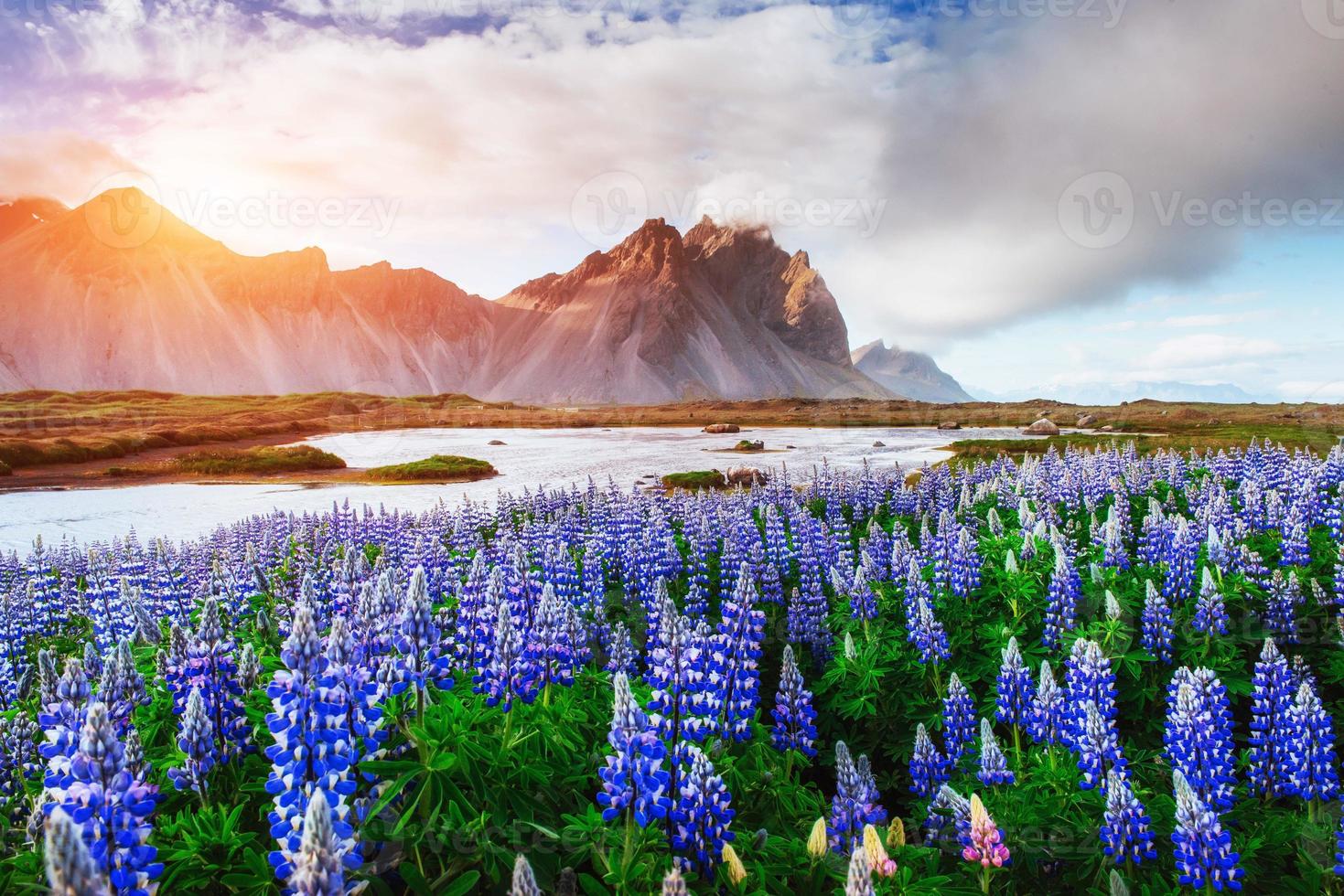 The picturesque landscapes forests and mountains of Iceland photo