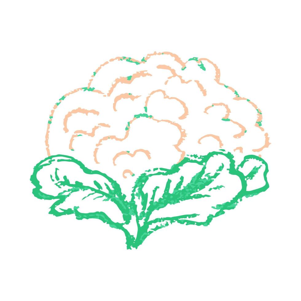 How to Draw a Cauliflower - Really Easy Drawing Tutorial