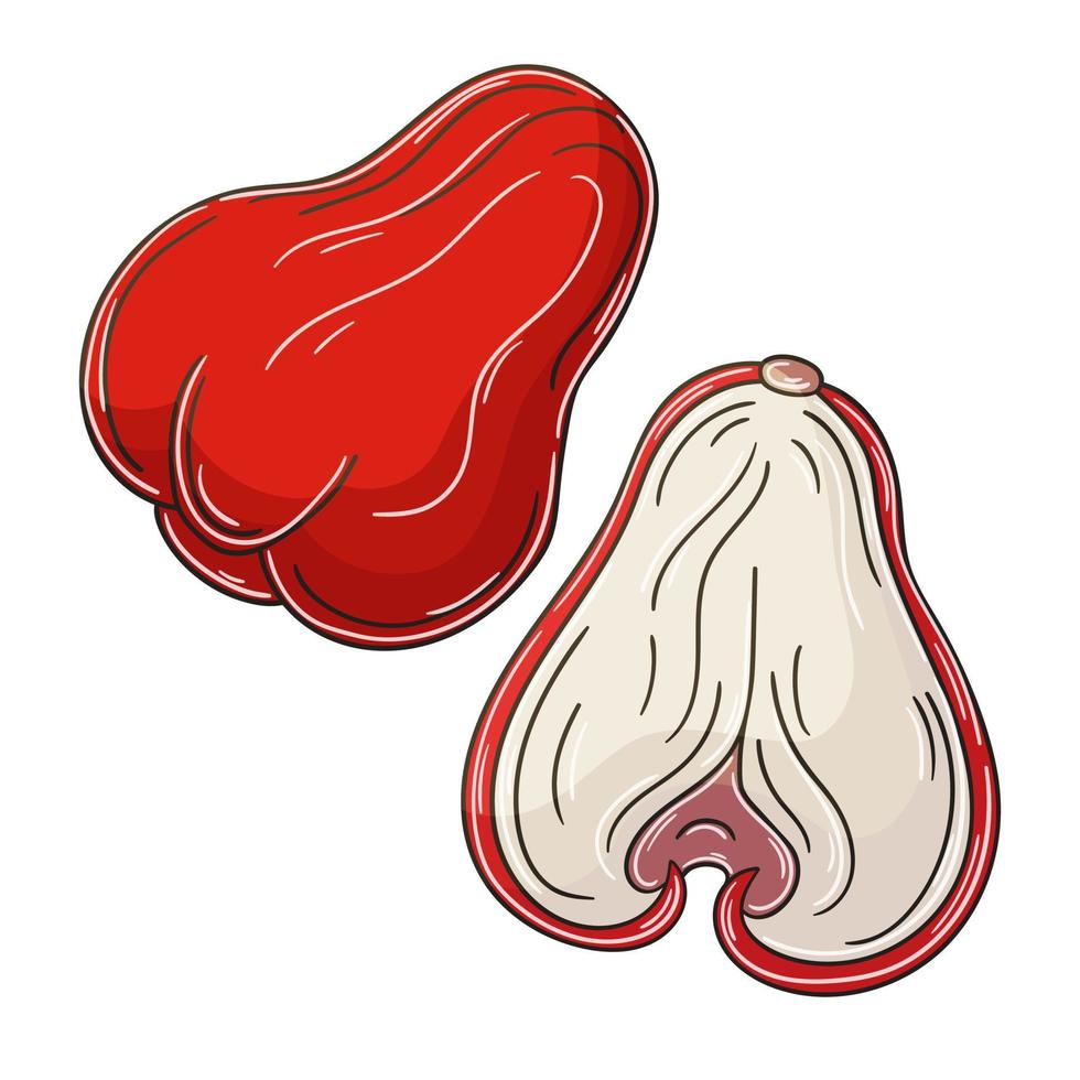 Set of vector illustrations in hand drawn style