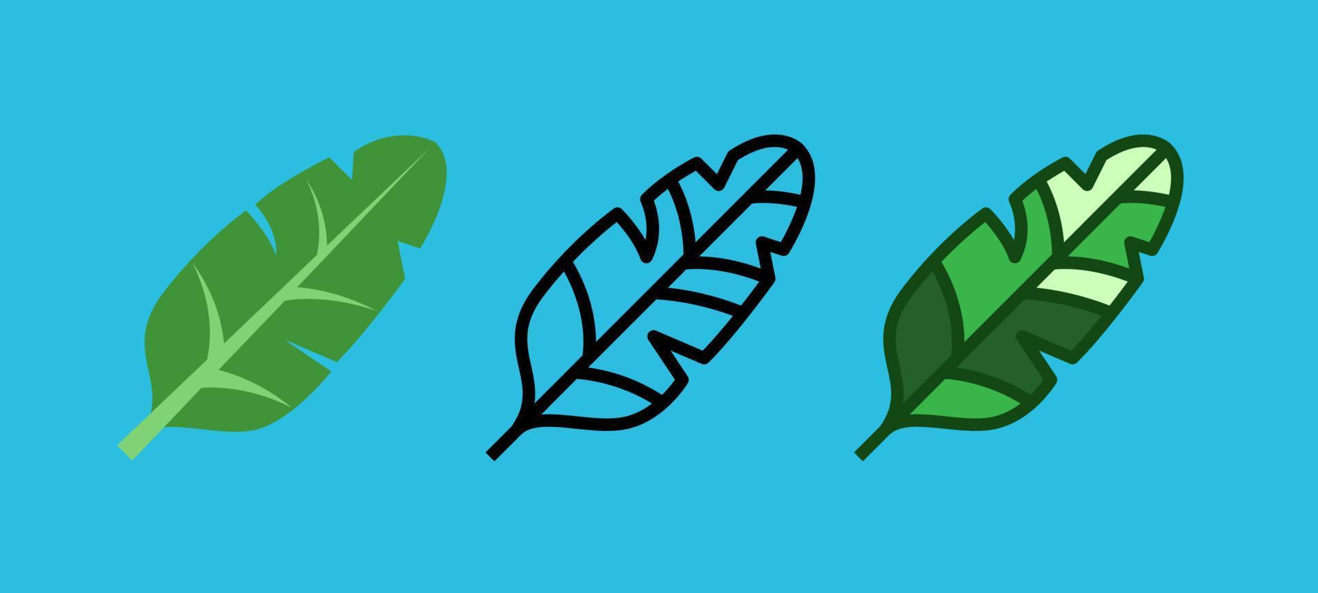 banana leaf vector set