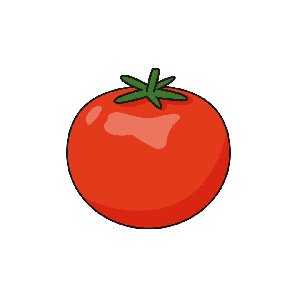 Vector red tomato illustration drawn in cartoon style