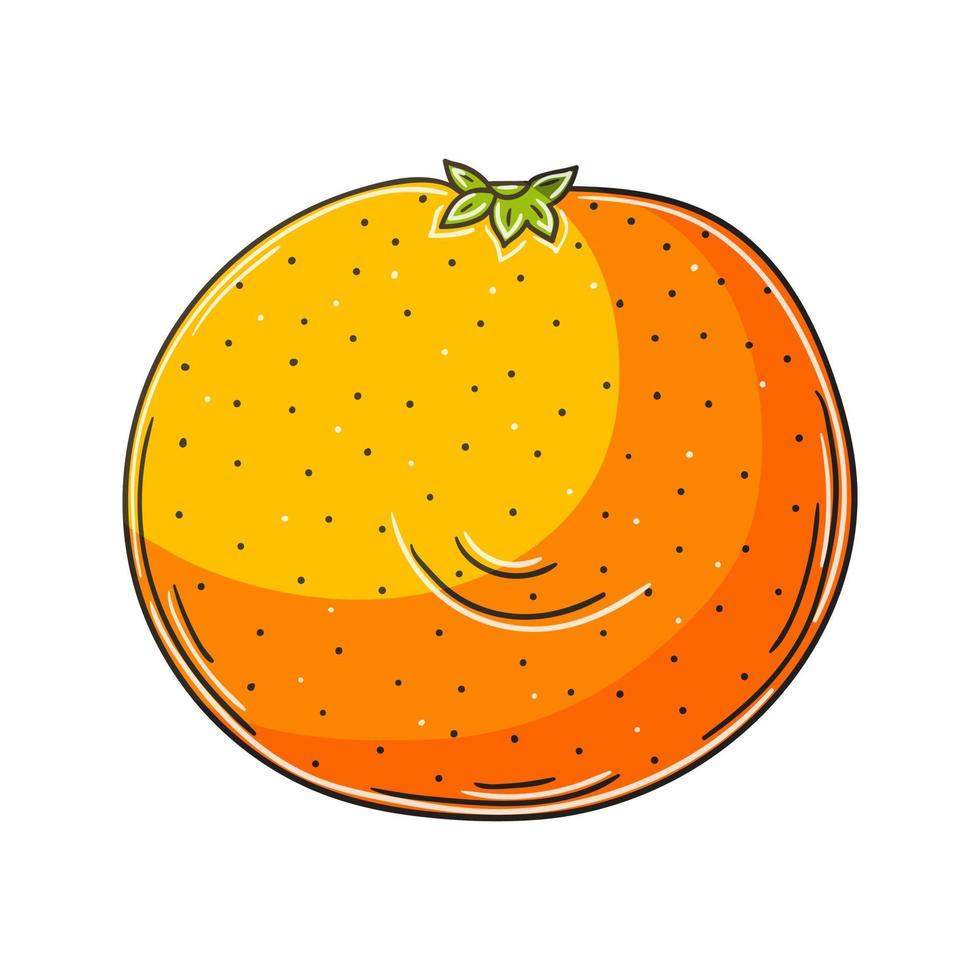 Illustration in hand drawn style. Children's drawings vector