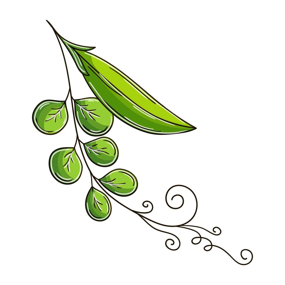 Illustration in hand drawn style. Children's drawings vector