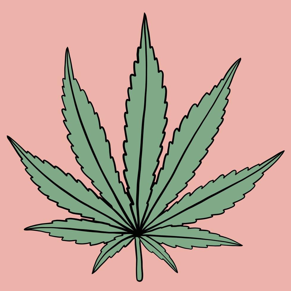 simplicity cannabis leaf freehand drawing flat design. vector