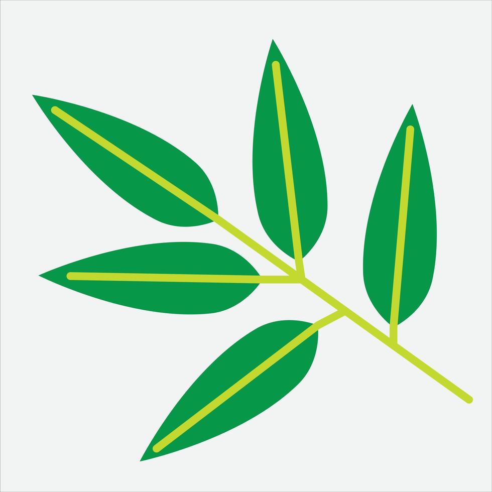 simplicity floral leaf drawing flat design. vector