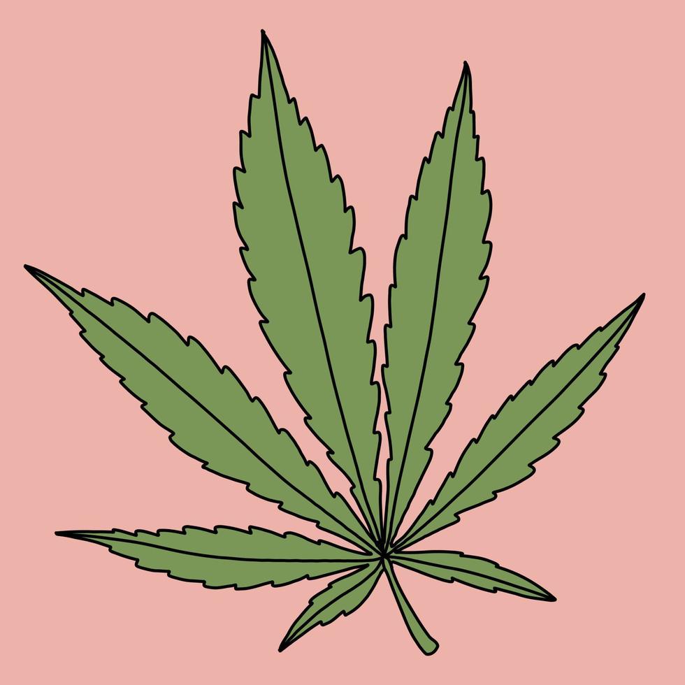 simplicidad hoja de cannabis dibujo a mano alzada diseño plano. vector