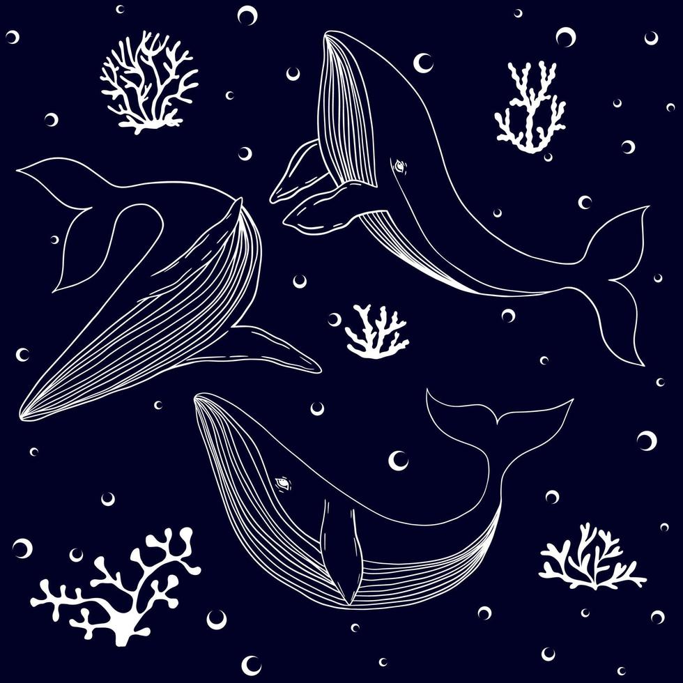 Collection of blue whales with corals and bubbles vector