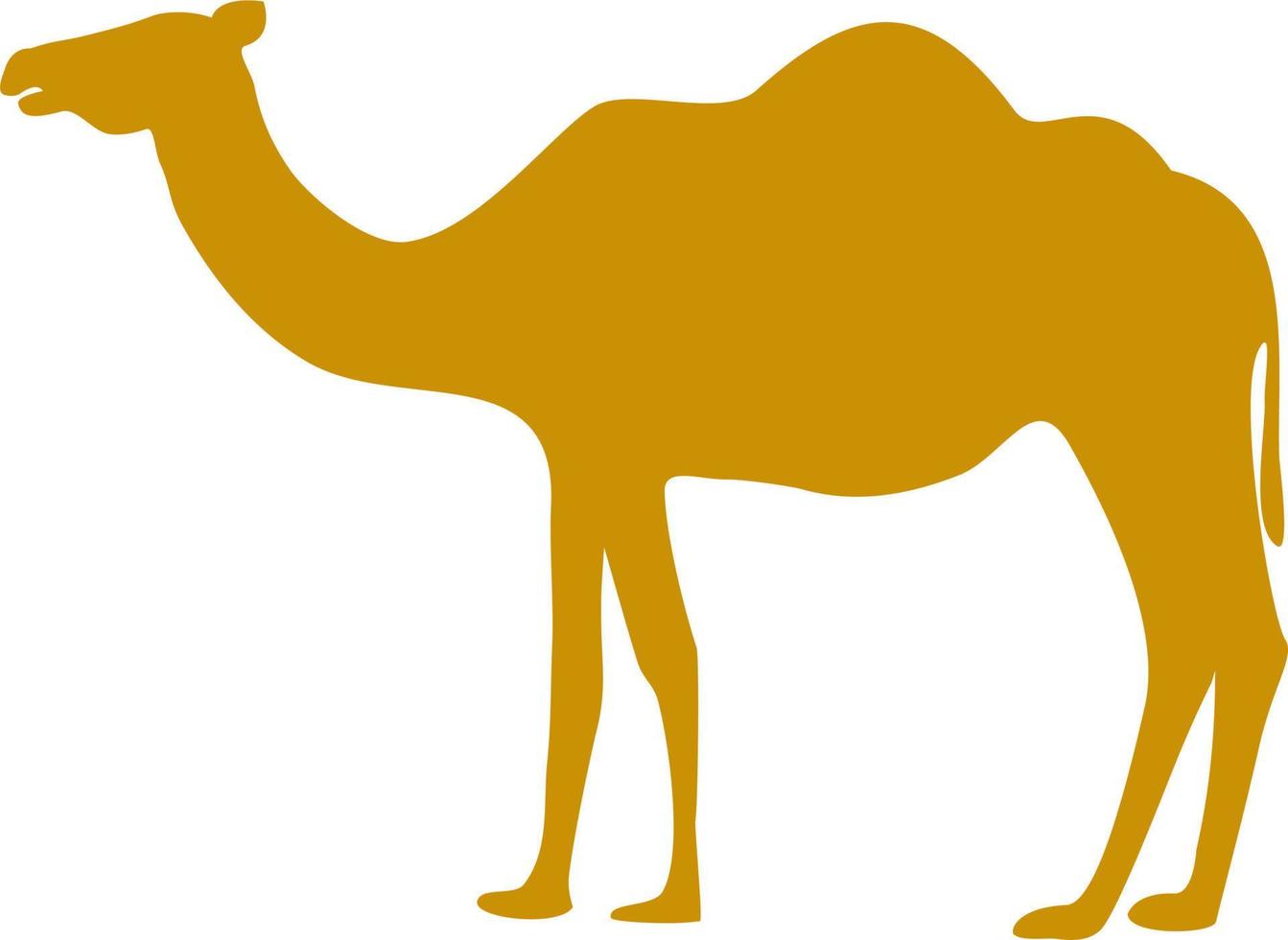 camel silhouette illustration vector