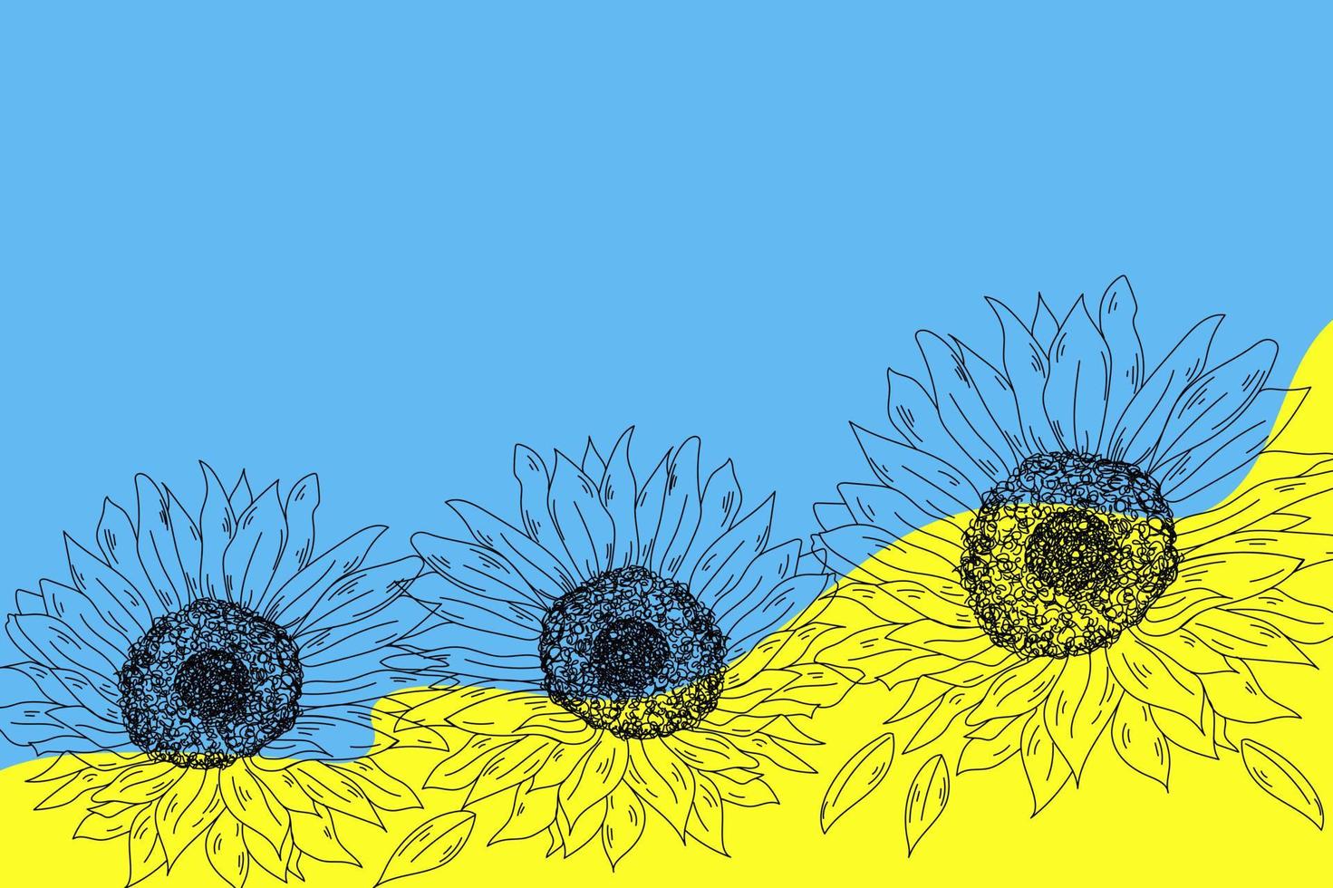 Sunflowers on the blue-yellow banner vector