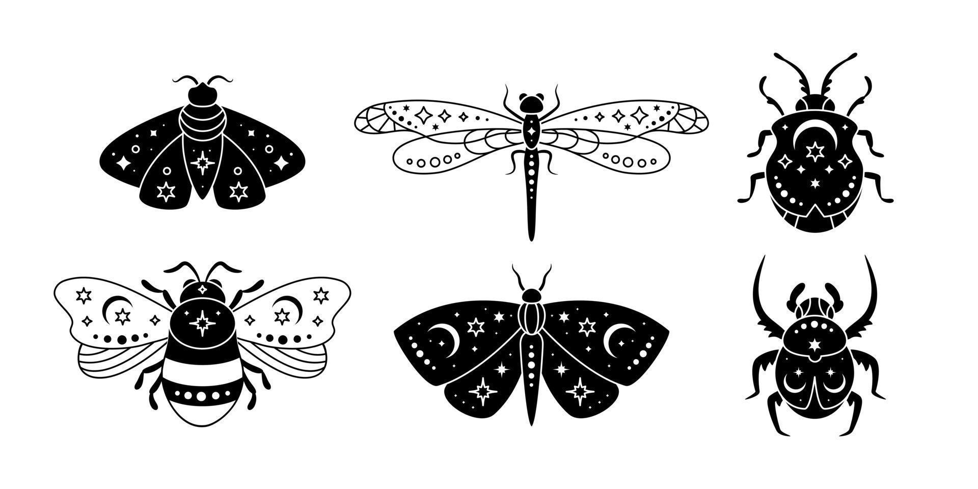 conjunto vectorial de insectos mágicos al estilo bohemio. insecto mágico sobre fondo blanco vector