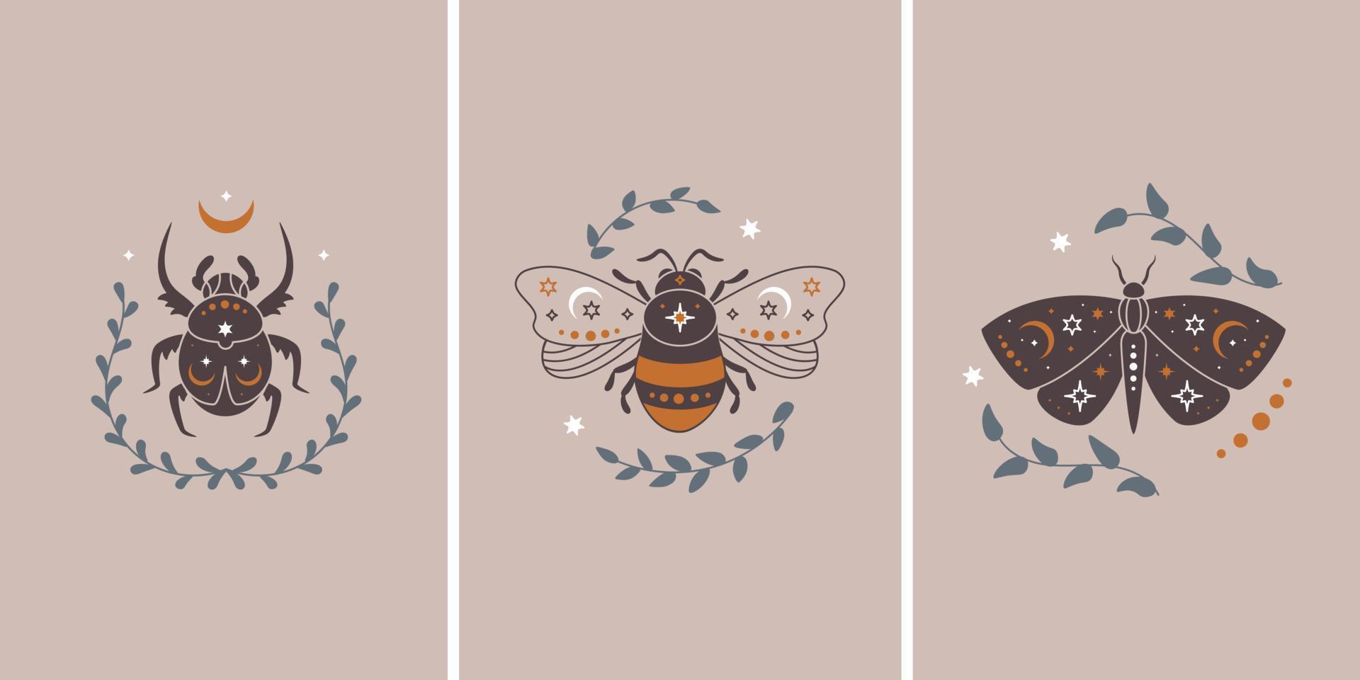 conjunto de ilustración vectorial de mariposa celestial, abeja y bicho con hojas. insecto mágico de la vendimia vector