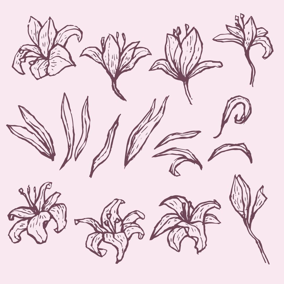 elementos de decoración floral estilo de trazo de pincel vector