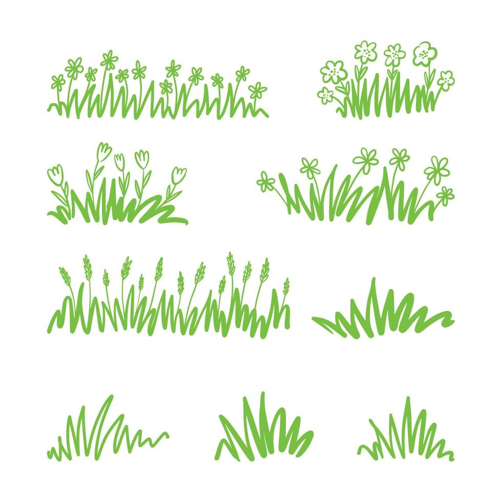 Hand-drawn green grass with flowers vector