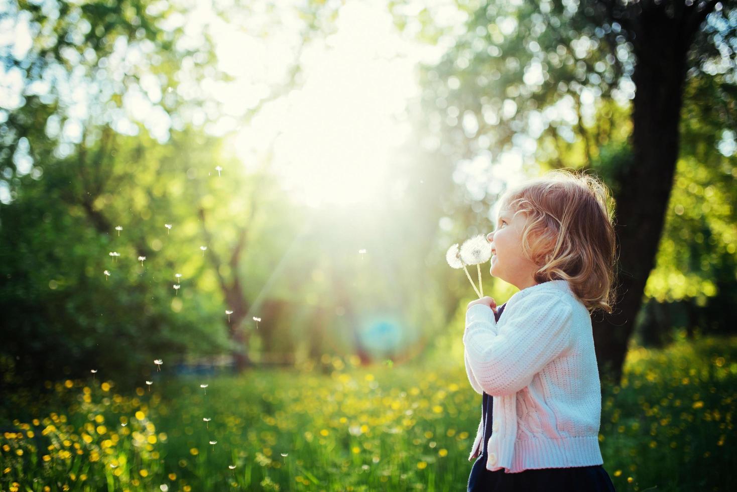child with dandelion photo