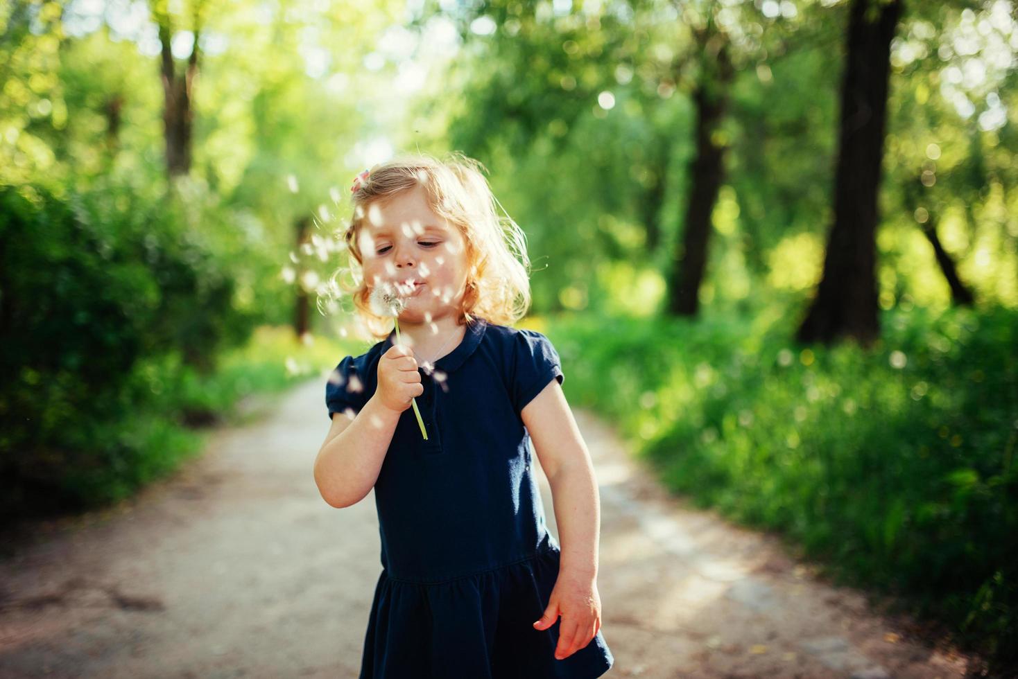 niño con diente de león foto