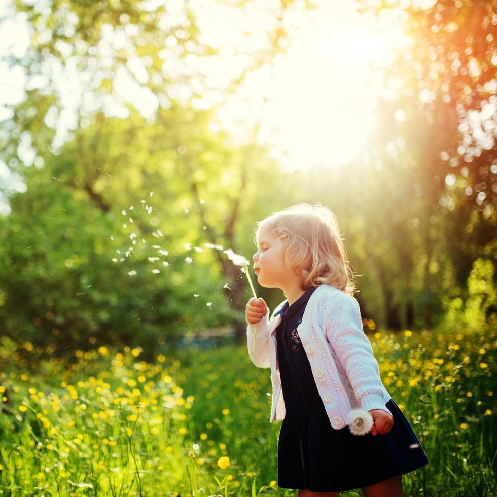 child with dandelion photo