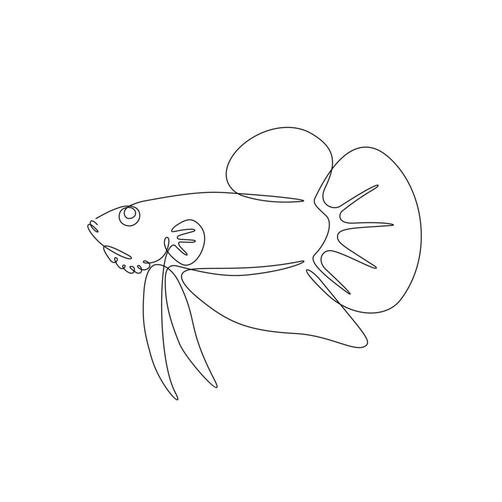 Continuous single line drawing, betta fish or fighting fish, isolated on white background, Vector Illustration.